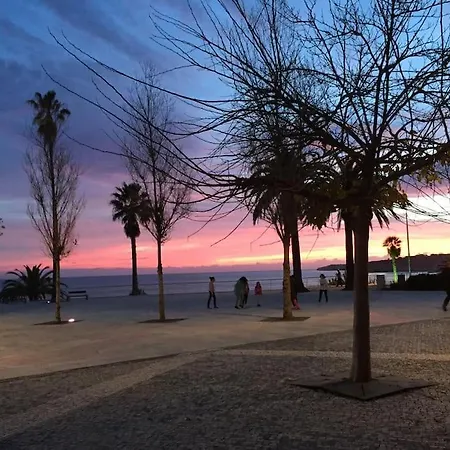 Ace Algarve